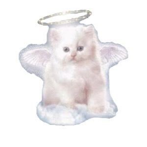 Meet your Posher, Jazzmin